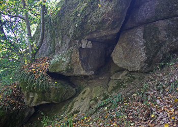 Felsstandorte - © Emanuel Trummer