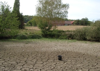 Kiesbett-, Sand-, Schlammfluren - © Emanuel Trummer