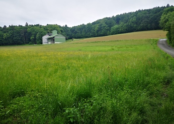 Niedermoore, Quellmoore - © Bernard Wieser