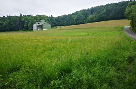 Niedermoore, Quellmoore - © Bernard Wieser